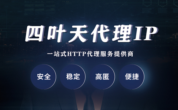 【新余代理IP】代理ip客户端使用教程